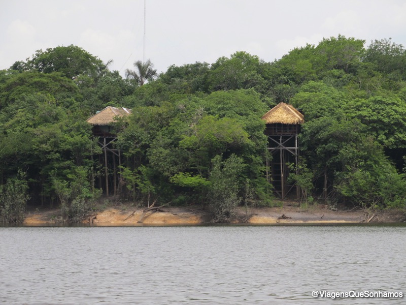 Pantanal ou Amazônia