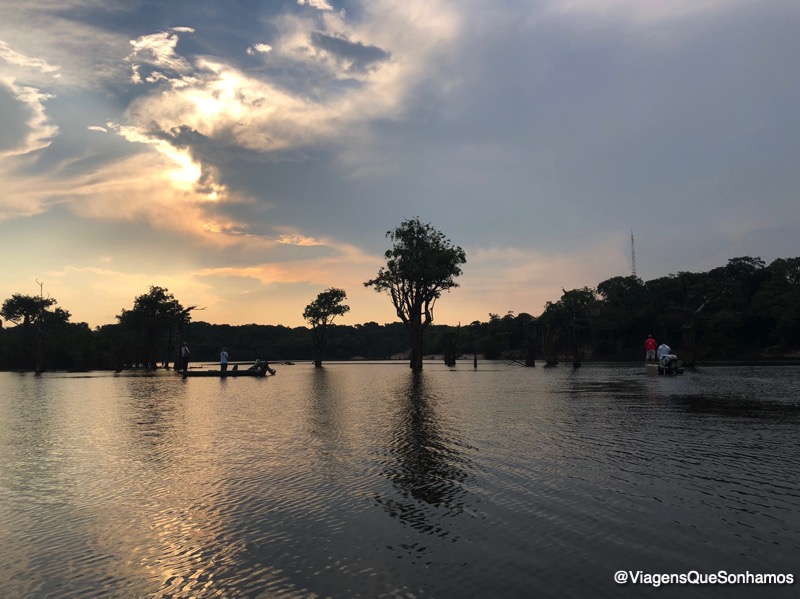 Pantanal ou Amazônia