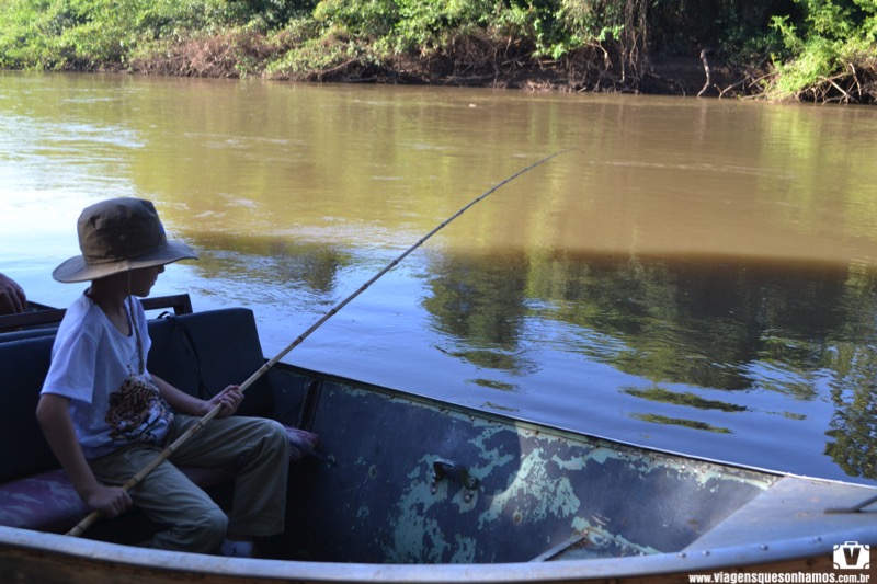 Pantanal ou Amazônia