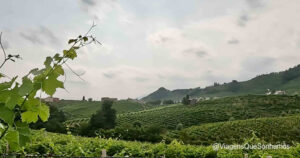 Rota Prosecco na Itália