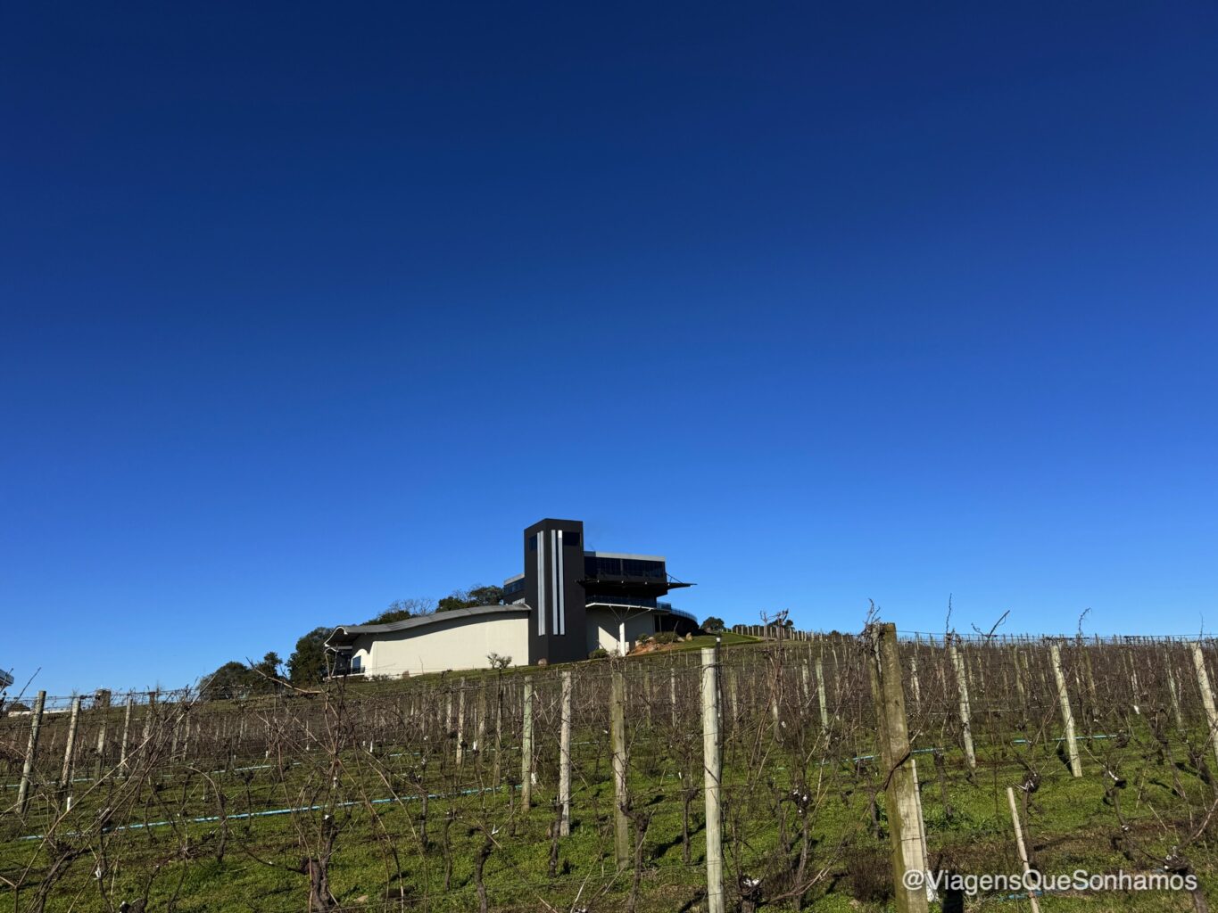 Vinícolas de Flores da Cunha