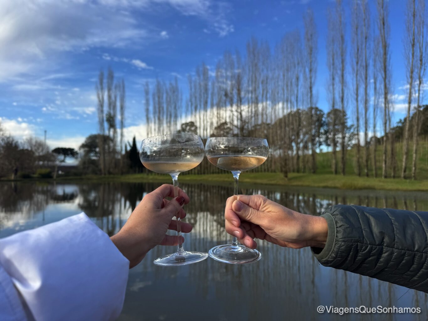 Vinícolas de Flores da Cunha