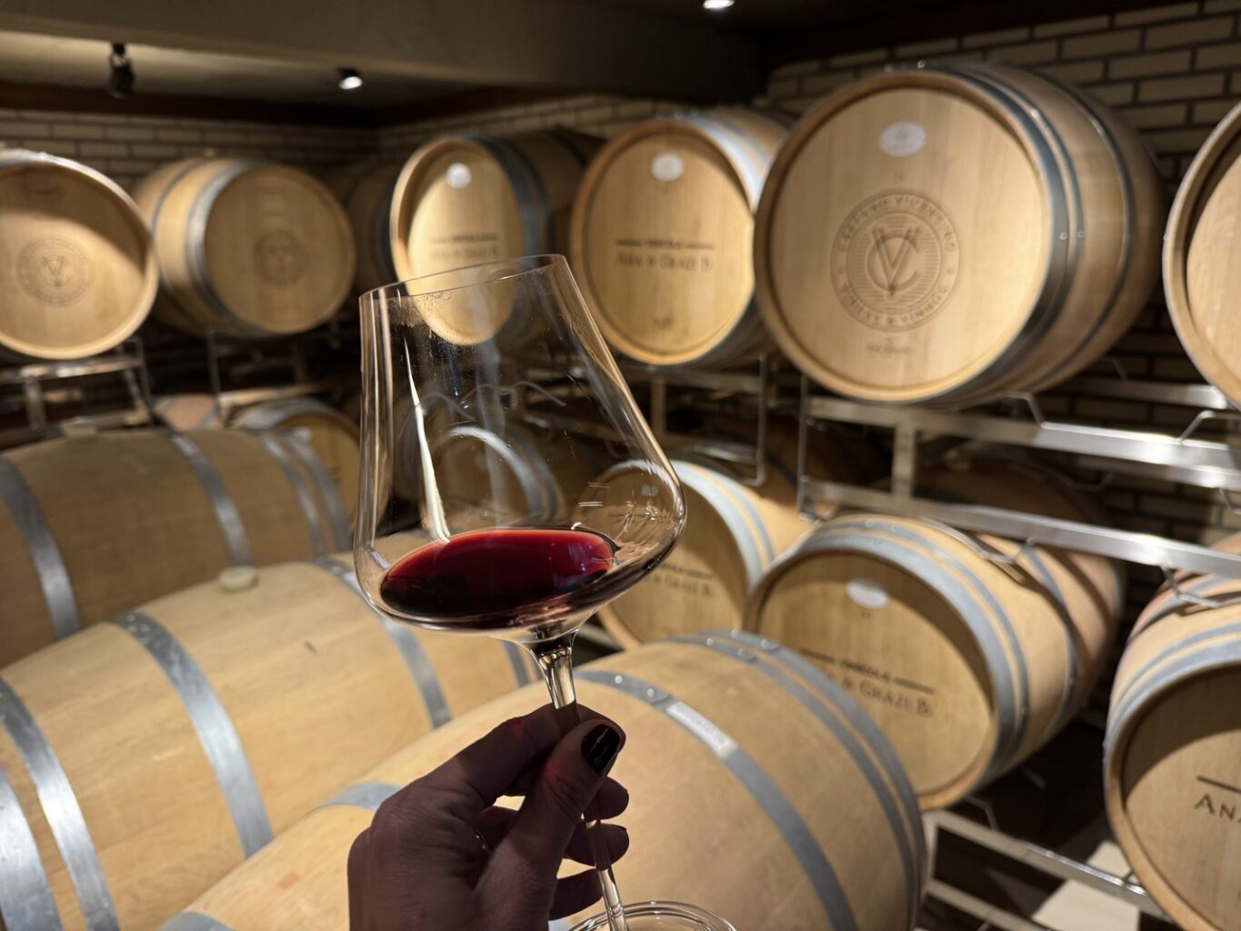 Enoturismo em Altos Montes