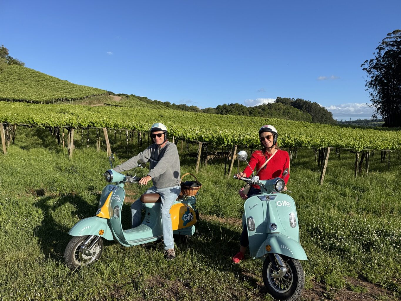 Enoturismo em Altos Montes