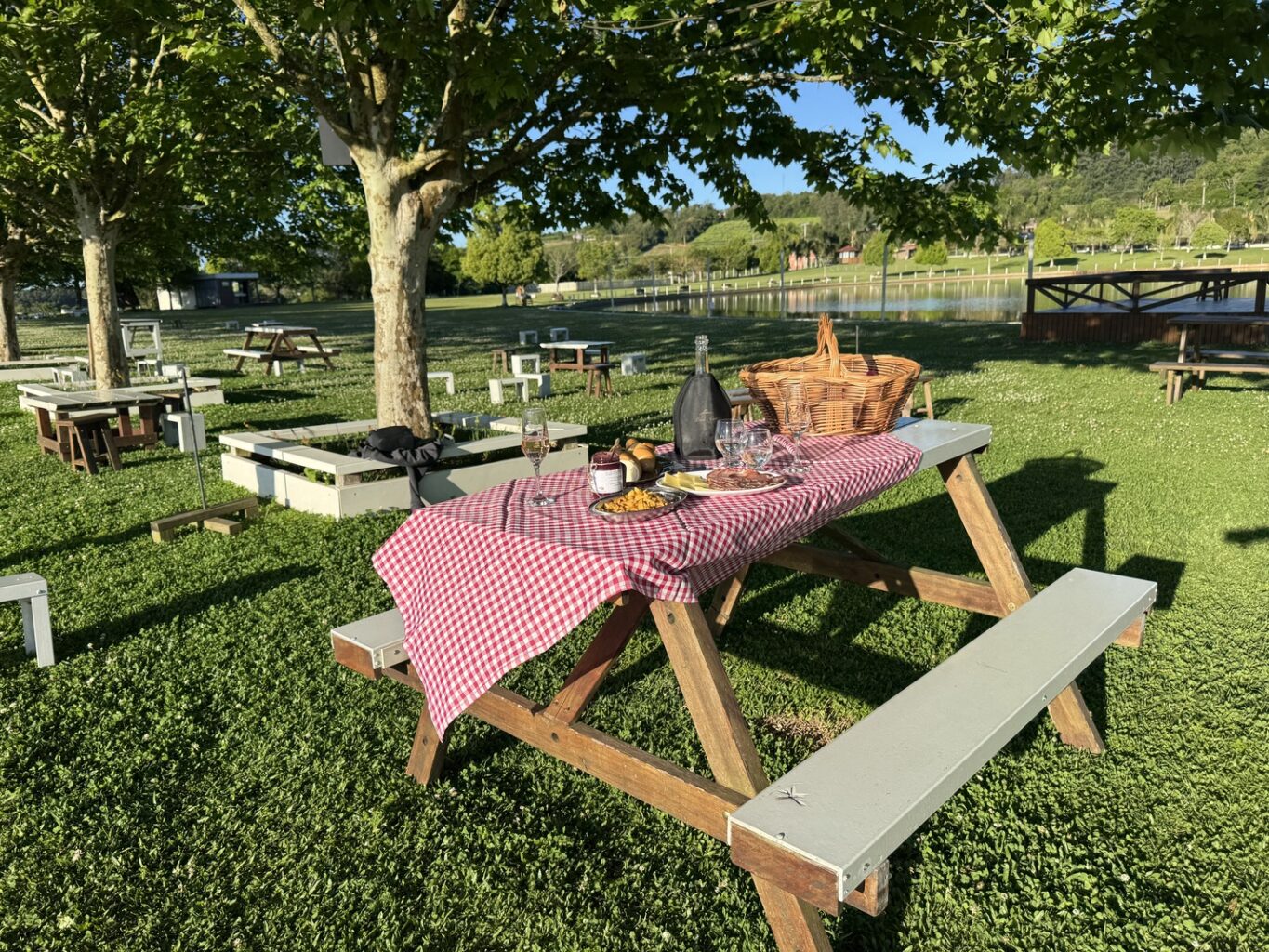 Enoturismo em Altos Montes