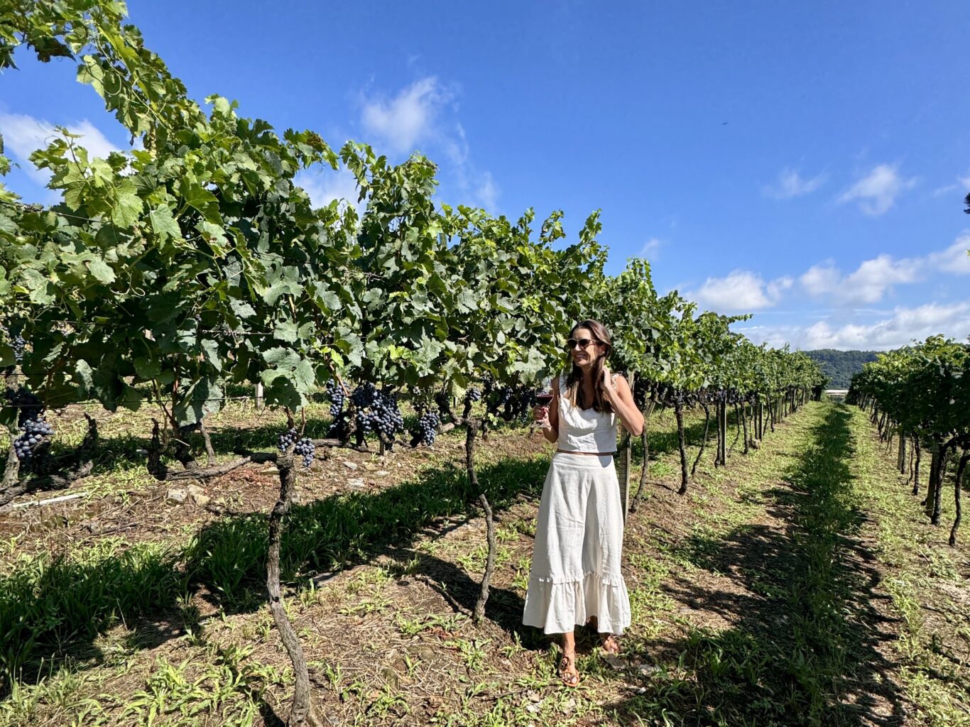 enoturismo no Vale dos Vinhedos