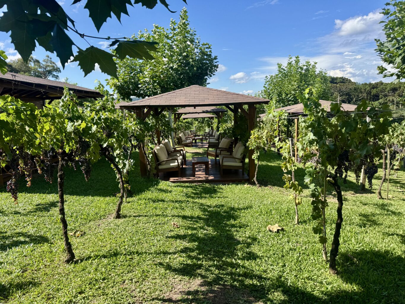 enoturismo no Vale dos Vinhedos