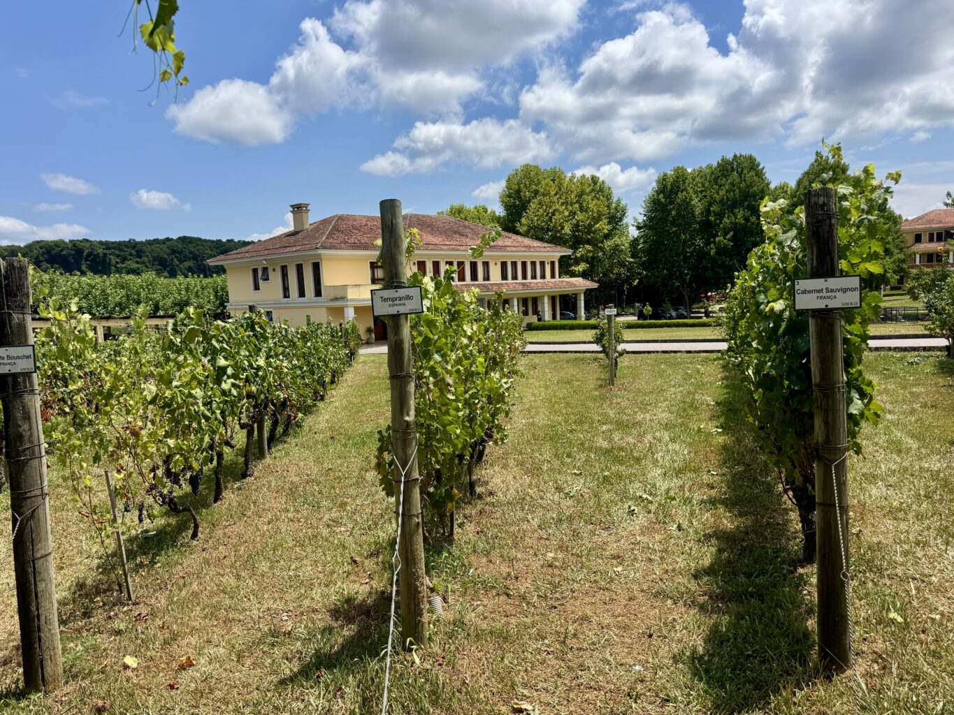 enoturismo no Vale dos Vinhedos